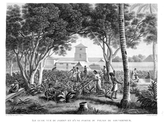 Île de Guam : Indigènes travaillant dans le jardin du palais du gouverneur, de 